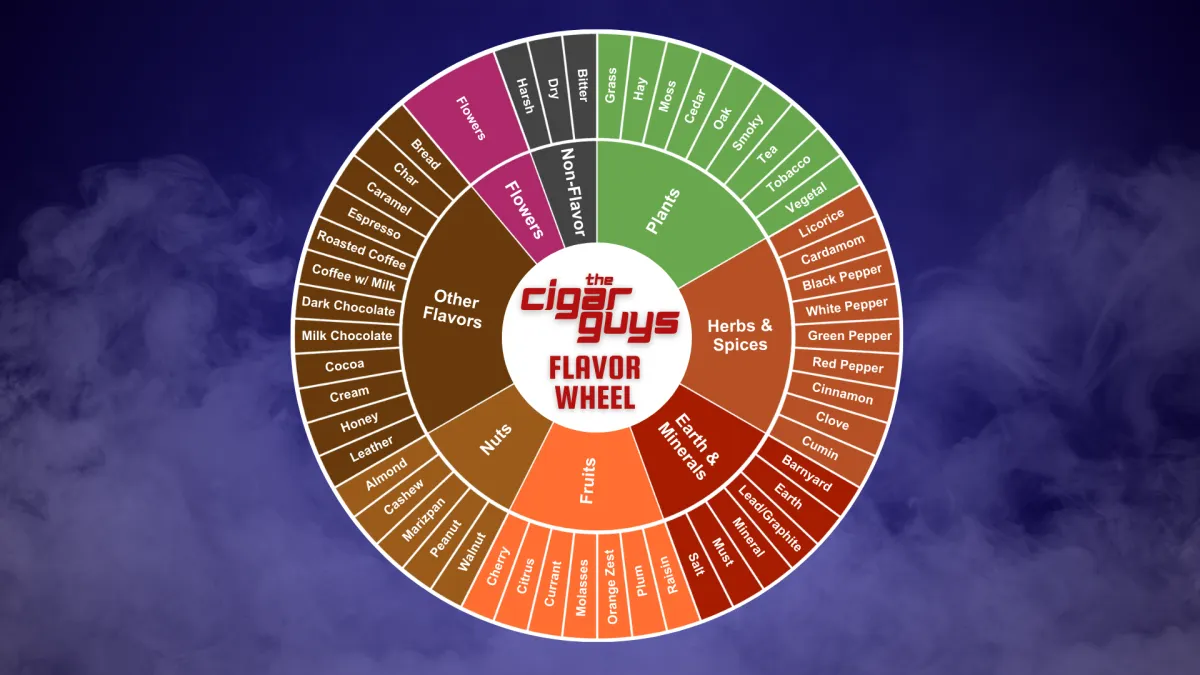 How to Taste Cigar Flavor Notes
